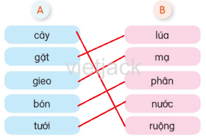 Luyện tập trang 131 - 132