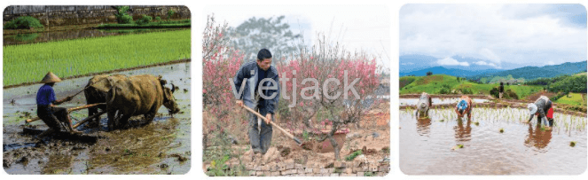 Luyện tập trang 131 - 132