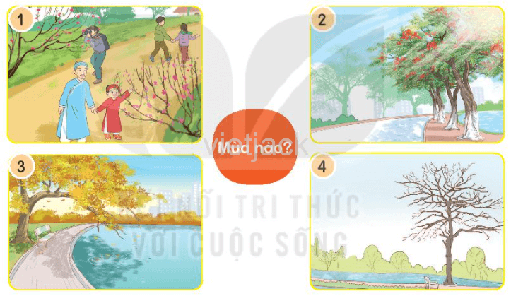 Luyện tập trang 14 - 15