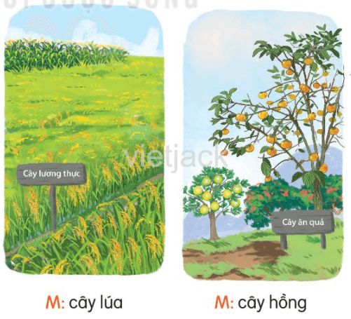 Luyện tập trang 28 - 29 - 30