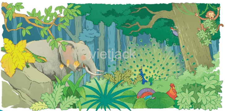 Luyện tập trang 44 - 45