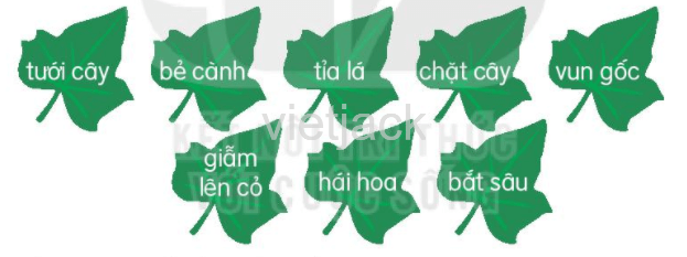 Luyện tập trang 59 - 60