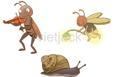 Luyện tập trang 66 - 67