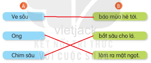 Luyện tập trang 66 - 67