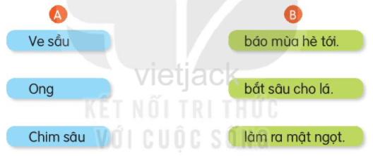 Luyện tập trang 66 - 67