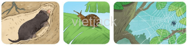 Luyện tập trang 66 - 67