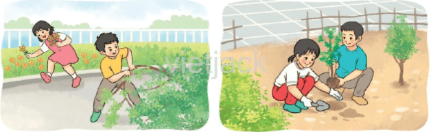 Luyện tập trang 66 - 67