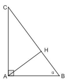 Hệ thức giữa cạnh và góc của tam giác vuông (Lý thuyết Toán lớp 9) | Chân trời sáng tạo