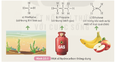 Lý thuyết KHTN 9 Kết nối tri thức Bài 23: Alkane