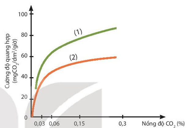 Lý thuyết KHTN 7 Kết nối tri thức Bài 23: Một số yếu tố ảnh hưởng đến quang hợp