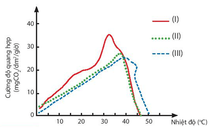 Lý thuyết KHTN 7 Kết nối tri thức Bài 23: Một số yếu tố ảnh hưởng đến quang hợp