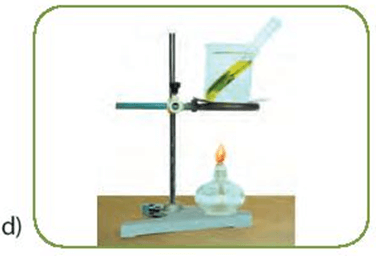 Lý thuyết KHTN 7 Kết nối tri thức Bài 24: Thực hành: Chứng minh quang hợp ở cây xanh