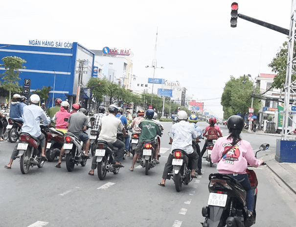 Lý thuyết KHTN 7 Kết nối tri thức Bài 33: Cảm ứng ở sinh vật và tập tính ở động vật