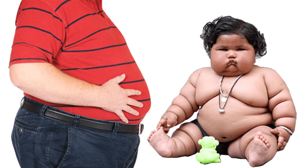 Lý thuyết KHTN 7 Kết nối tri thức Bài 37: Ứng dụng sinh trưởng và phát triển ở sinh vật vào thực tiễn