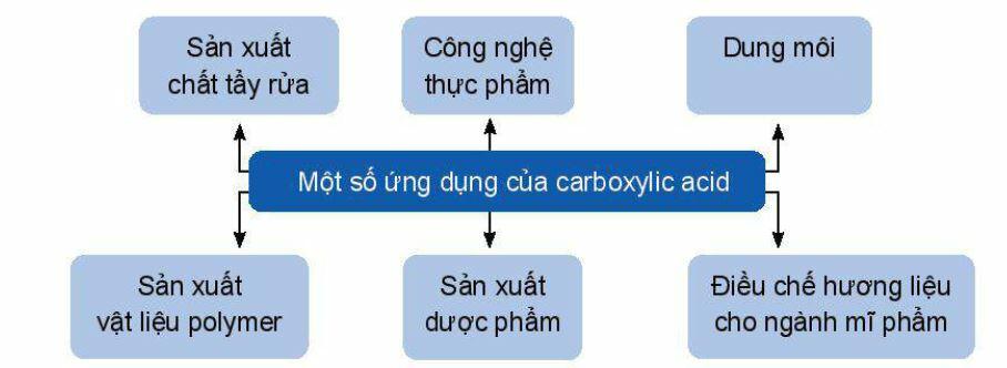 Lý thuyết Hóa 11 Kết nối tri thức Bài 24: Carboxylic Acid (ảnh 8)