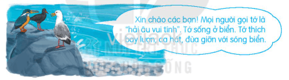 Tiết 3 - 4 trang 138