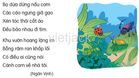 Tiết 3 - 4 trang 69 - 70