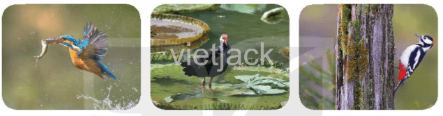 Tiết 5 - 6 trang 136 - 137