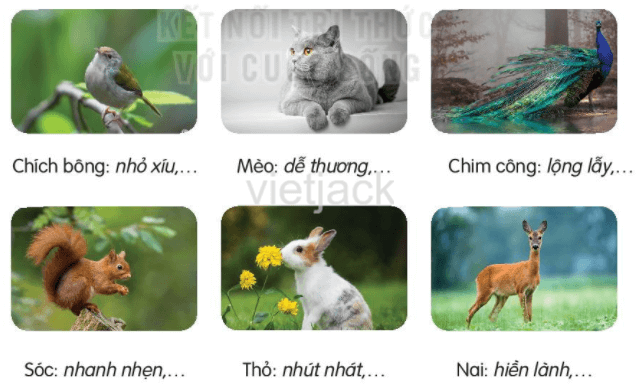 Tiết 5 - 6 trang 136 - 137