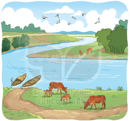 Tiết 5 - 6 trang 71