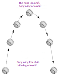 Lý thuyết Vật Lí 10 Bài 26: Cơ năng và định luật bảo toàn cơ năng - Kết nối tri thức (ảnh 1)