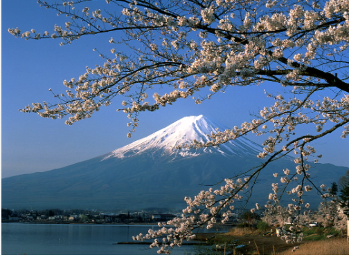 TOP 10 mẫu Chia sẻ cùng bạn: em biết gì về đất nước Nhật Bản (2024) SIÊU HAY (ảnh 1)