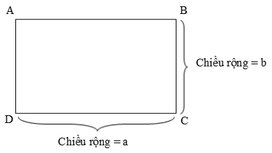 Chuyên đề Diện tích hình chữ nhật Toán lớp 3 (2024) đầy đủ, chi tiết (ảnh 1)