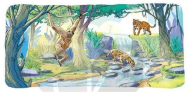 Top 5 mẫu Nói điều em biết về rừng (qua phim ảnh, sách báo) (hay nhất) (ảnh 1)