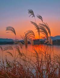 TOP 10 bài Viết một nhan đề và sáng tạo một tác phẩm mới 2023 SIÊU HAY (ảnh 2)