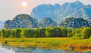 TOP 10 bài Trình bày về chủ đề Thiên nhiên có vai trò đối với cuộc sống con người 2024 SIÊU HAY