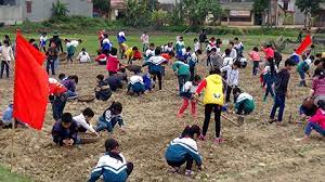 TOP 10 bài Nghị luận về vấn đề tổ chức hoạt động trải nghiệm sao cho hiệu quả 2023 SIÊU HAY (ảnh 2)