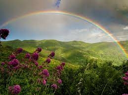 TOP 10 bài Thuyết minh giải thích một hiện tượng tự nhiên 2023 SIÊU HAY (ảnh 4)