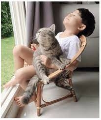 TOP 10 bài Cảm nghĩ của em về một bài thơ tự do mà em yêu thích 2023 SIÊU HAY (ảnh 3)