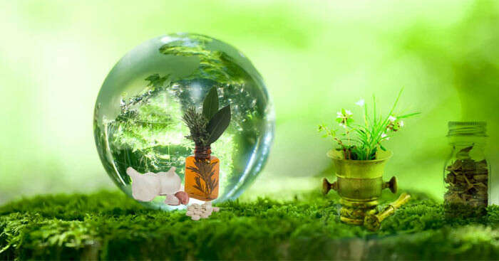 TOP 20 bài Nghị luận về một vấn đề cần giải quyết (con người trong mối quan hệ với tự nhiên) (ảnh 2)