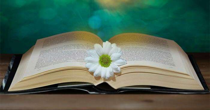 TOP 10 Đoạn văn về một cuốn sách hoặc một tác phẩm nghệ thuật góp phần thay  đổi suy nghĩ của bạn 2024 SIÊU HAY