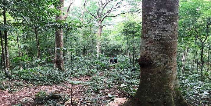 Bài tập cuối tuần Tiếng Việt lớp 5 Kết nối tri thức Tuần 13 (ảnh 1)