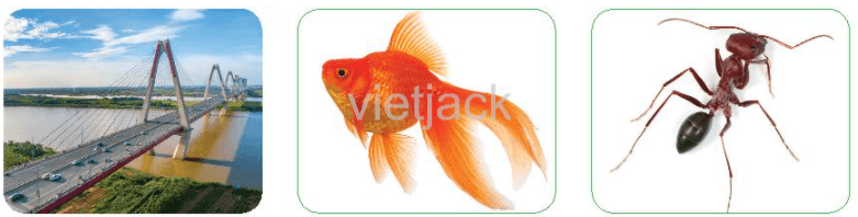 Viết trang 13 - 14