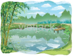 Viết trang 20 - 21