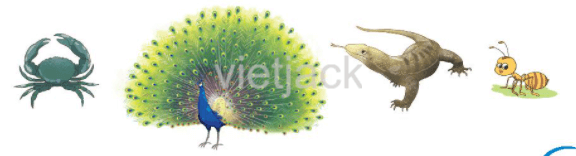 Viết trang 83 - 84