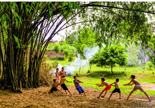 TOP 10 mẫu Mở bài và kết bài cho bài văn miêu tả một cây mà em biết (2024) SIÊU HAY (ảnh 1)